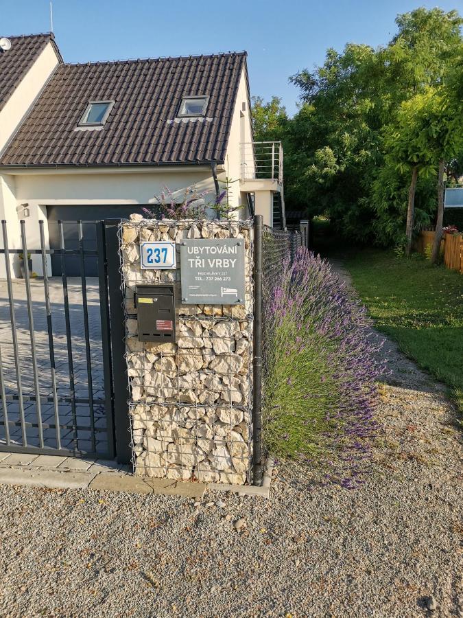 Ubytovani Tri Vrby Pasohlávky Exterior photo